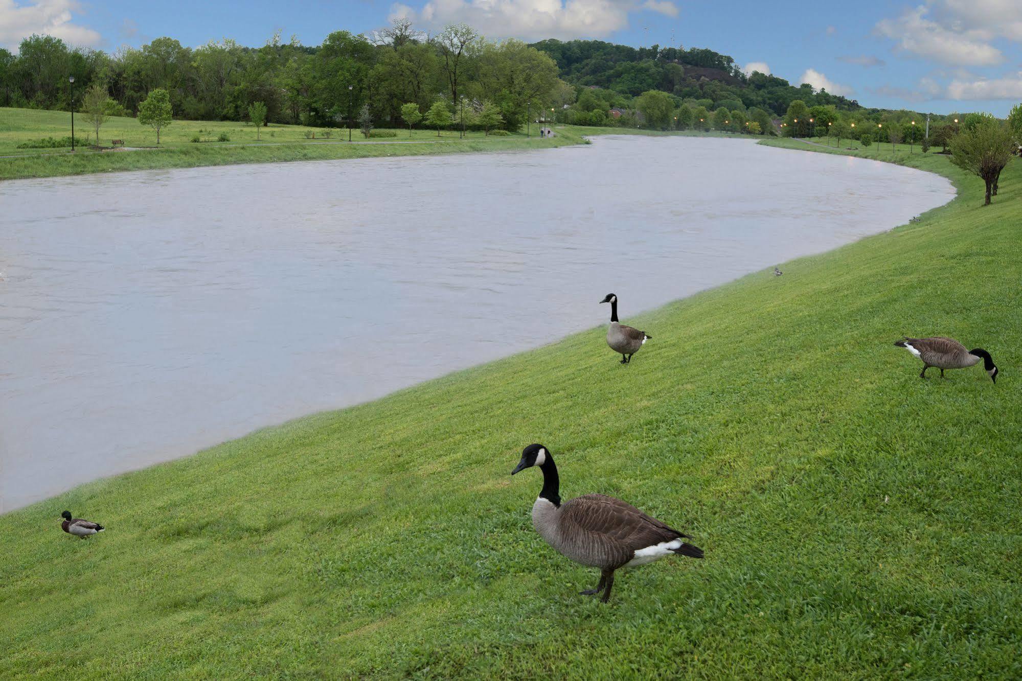 Econo Lodge Sevierville-Pigeon Forge On The River Экстерьер фото